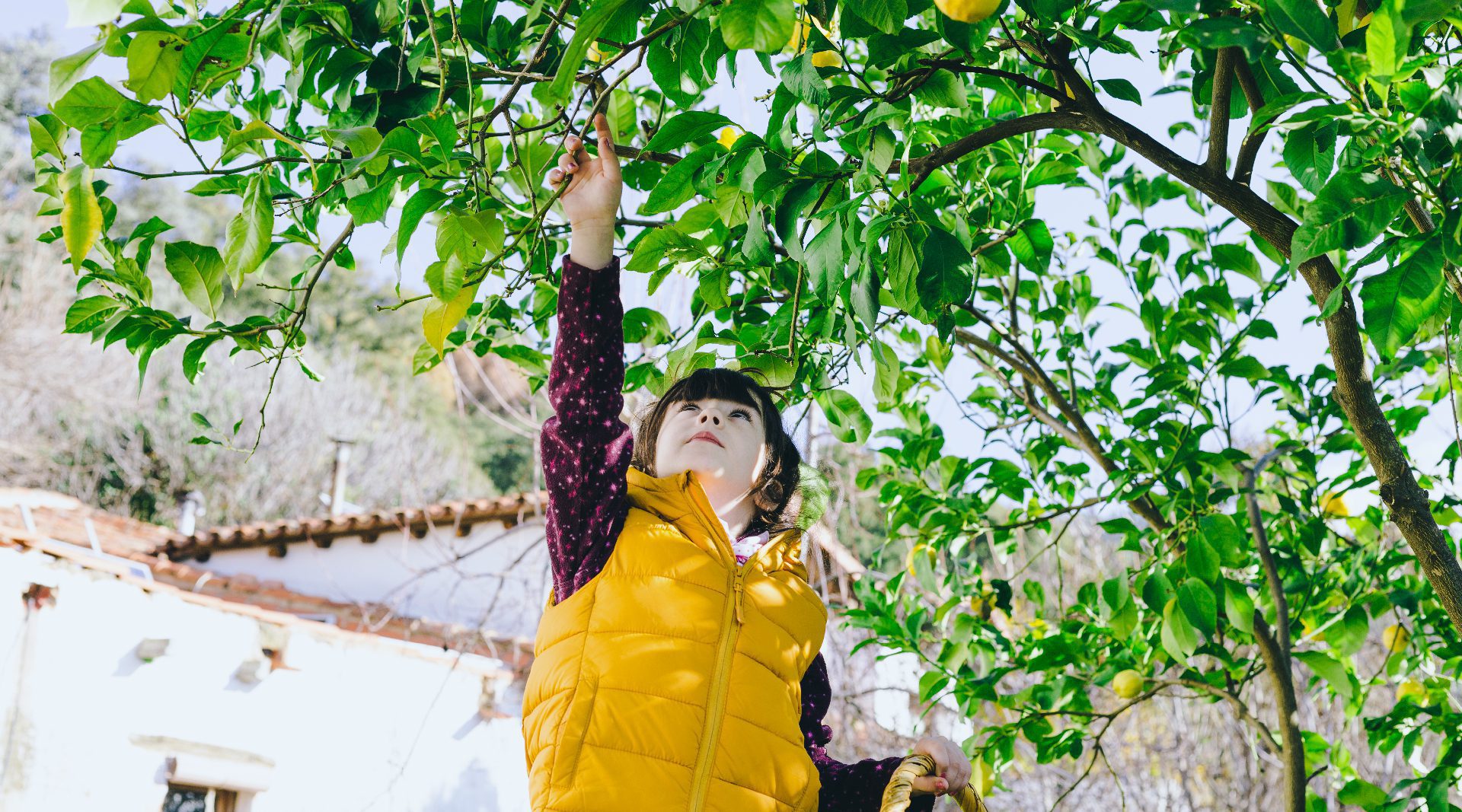 ¿Cómo enseñar a los niños a valorarse y valorar dentro de una cultura de lo desechable?
